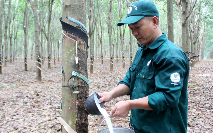 Trung Quốc mua nhiều nhất một loại 